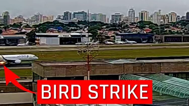 BIRD STRIKE – COLISÃO COM PÁSSARO DURANTE DECOLAGEM – AEROPORTO DE SÃO PAULO CONGONHAS – 16/09/21